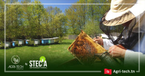 apiculture-afrique