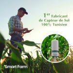 smart-1.jpg