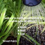 smart-3.jpg