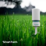 smart-5.jpg